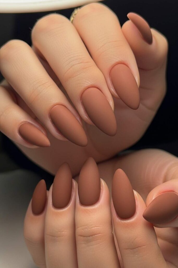 Mocha Brown Tips with Matte Finish and Almond Shape