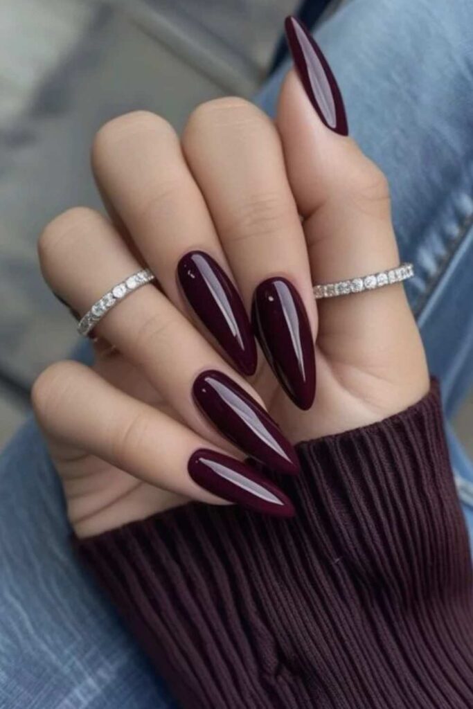 54 Cozy Fall Nails Aesthetic Ideas That Feel Like a Warm Latte in Your Hands 6 Deep Plum Stiletto Nails