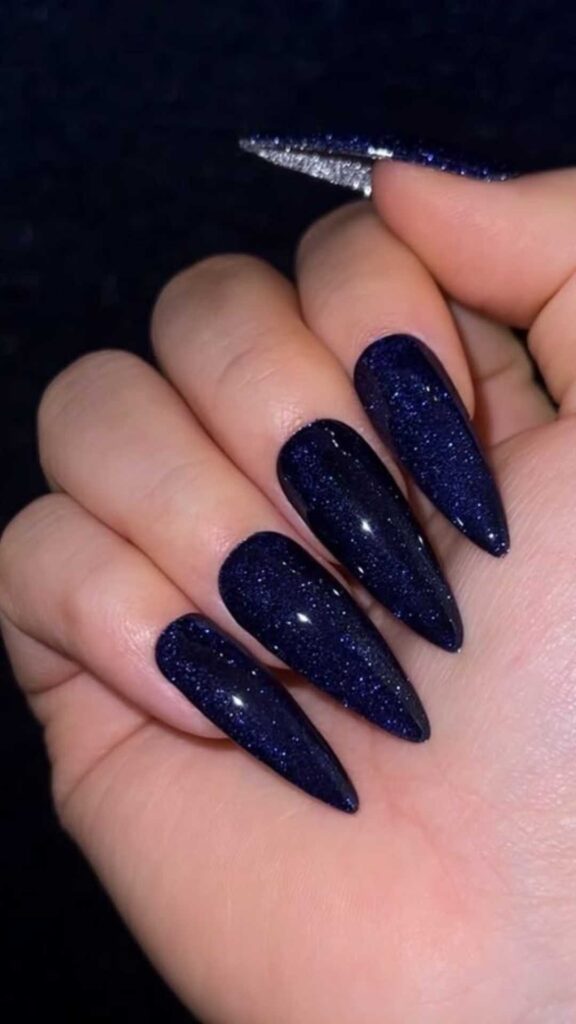Midnight Navy with Micro-Glitter Tips